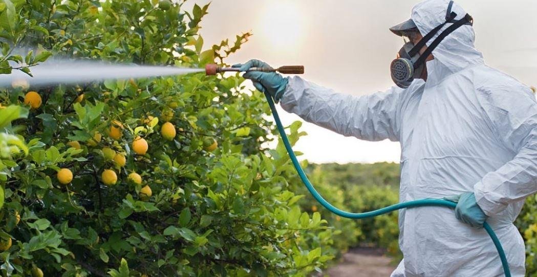 مديرة معمل متبقيات المبيدات بوزارة الزراعة: فحصنا 400 ألف عينة خلال 2025