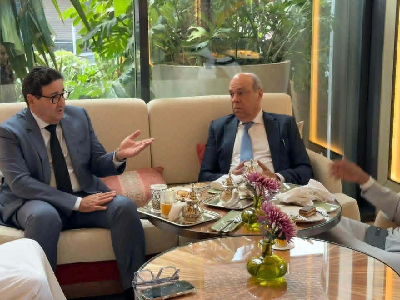 وزير الطيران يبحث مع مدير المنظمة العربية للطيران المدني تطوير العمل المشترك