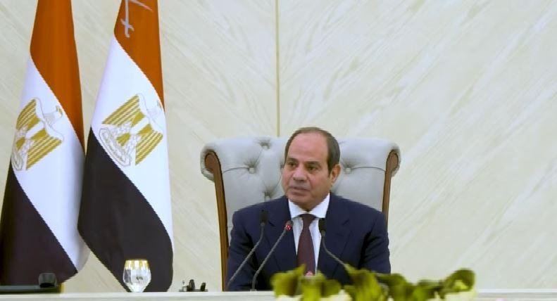 الرئيس السيسي: المخططات التي تستهدف النيل من استقرار مصر لم تتوقف