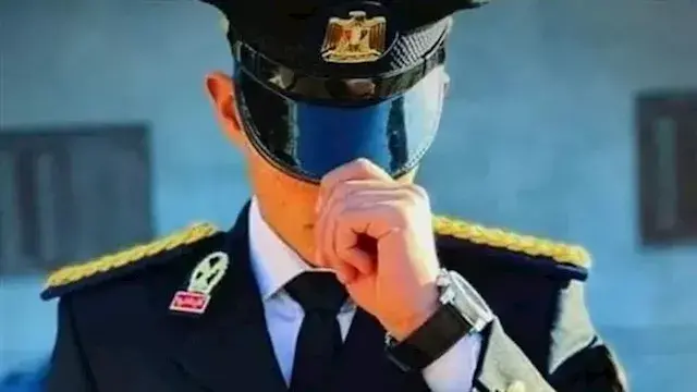 من الثانوية حتى المؤهلات العلي...