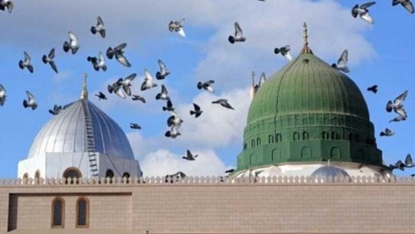 كيف تعرض أسماء من صلوا على النبي يوم الجمعة ؟