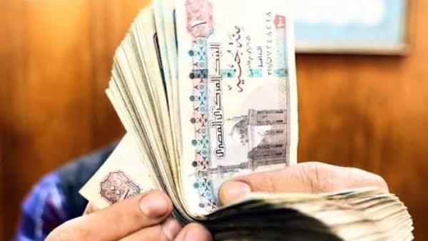 برلمانية: توصيات منتدى مصر برفع الحد الأدنى للأجور إلى 15 ألف جنيه خطوة لتحسبن حياة المواطنين