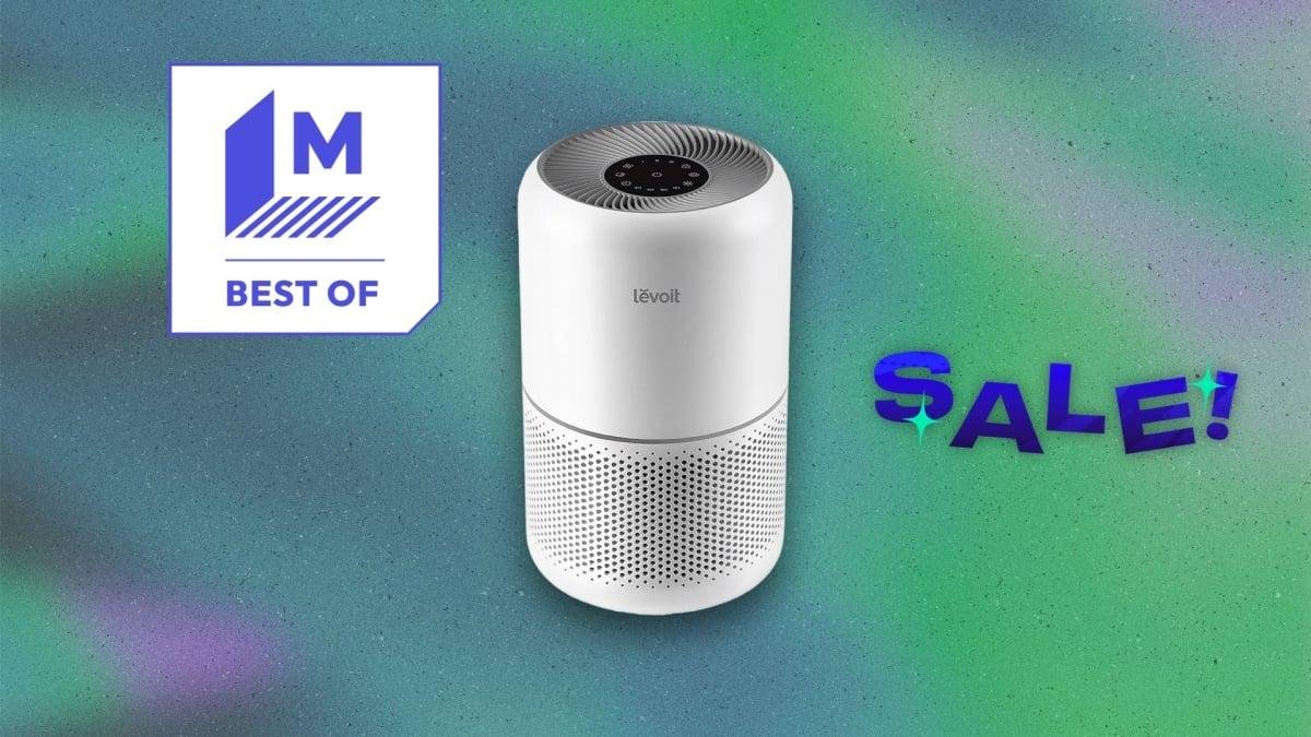 Our favorite budget air purifi...