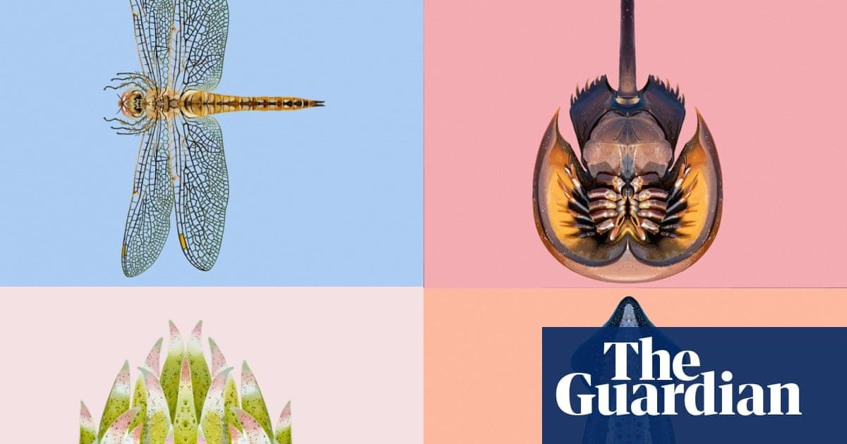 The winner of the Guardian's I...