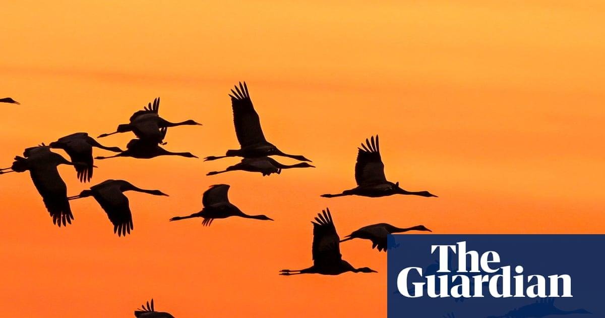 Weatherwatch: Climate crisis f...