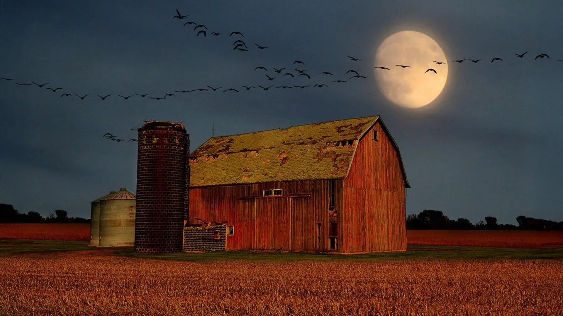 September brings a dazzling Ve...