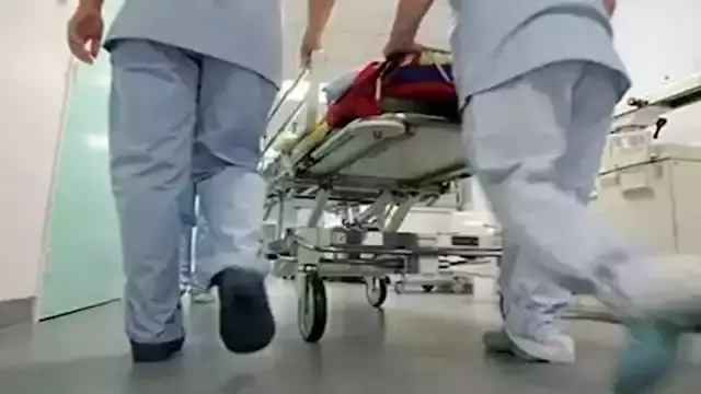 حشرات في الأكل.. ارتفاع حالات ​التسمم في مطعم بالإسكندرية لـ37 مصابًا وتعافي 15