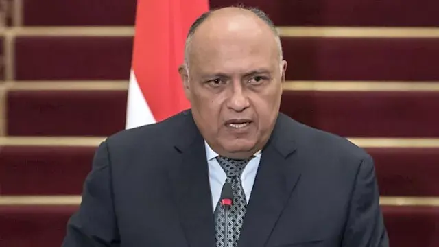 بعد وعكة صحية.. سامح شكري يطمئ...