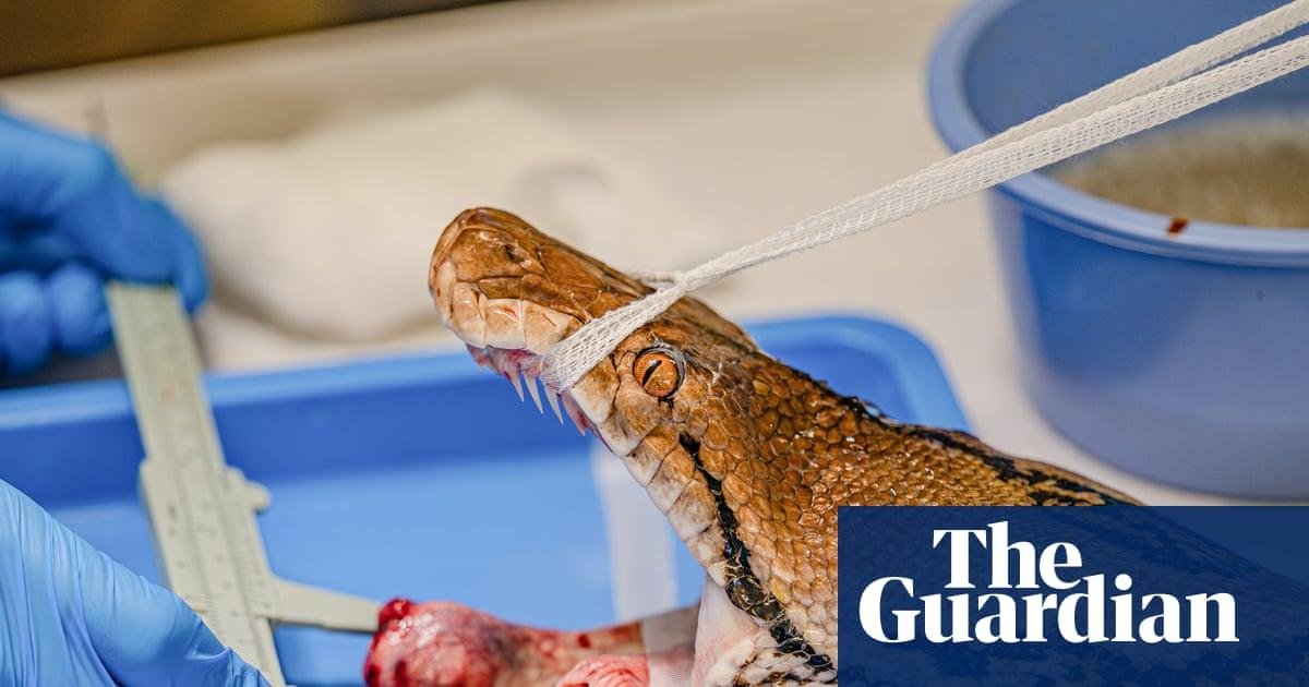 Python named Jodie Foster firs...