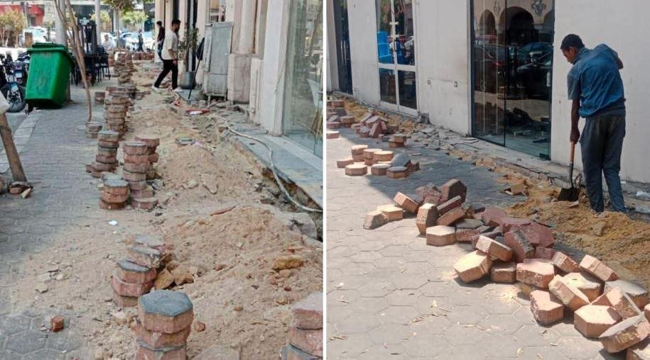 التنمية المحلية والبيئة: بدء أ...