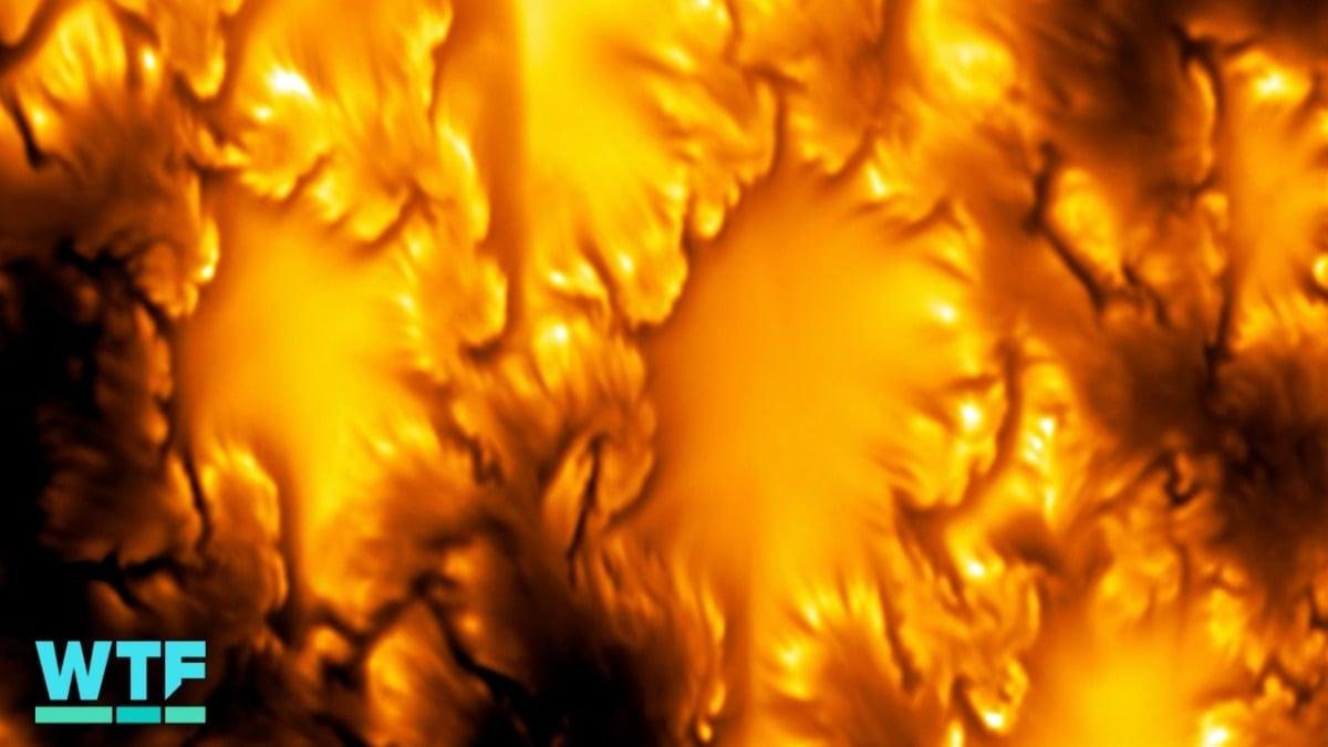 Watch the highest resolution v...