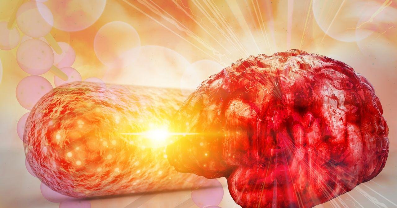 There’s a New Link Between Gut...