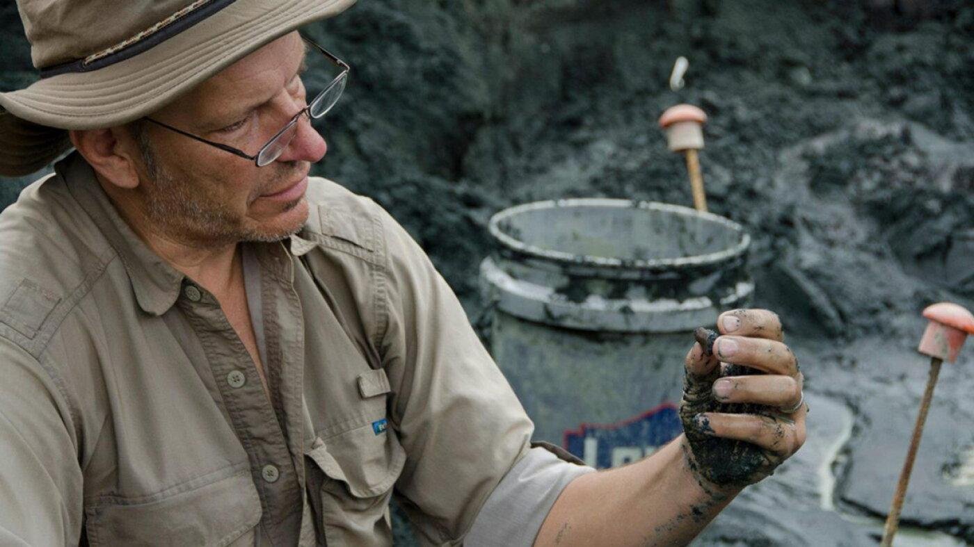 New Jersey is a fossil hotspot...
