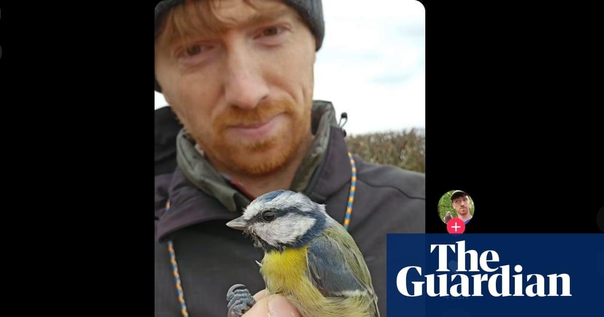 Gen Z flocks to BirdTok as bir...
