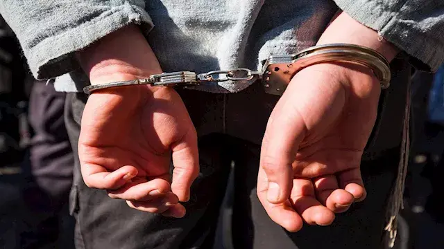 ضبط شخصين بحوزتهما 2 كيلو حشيش وسلاح ناري في كفر الشيخ