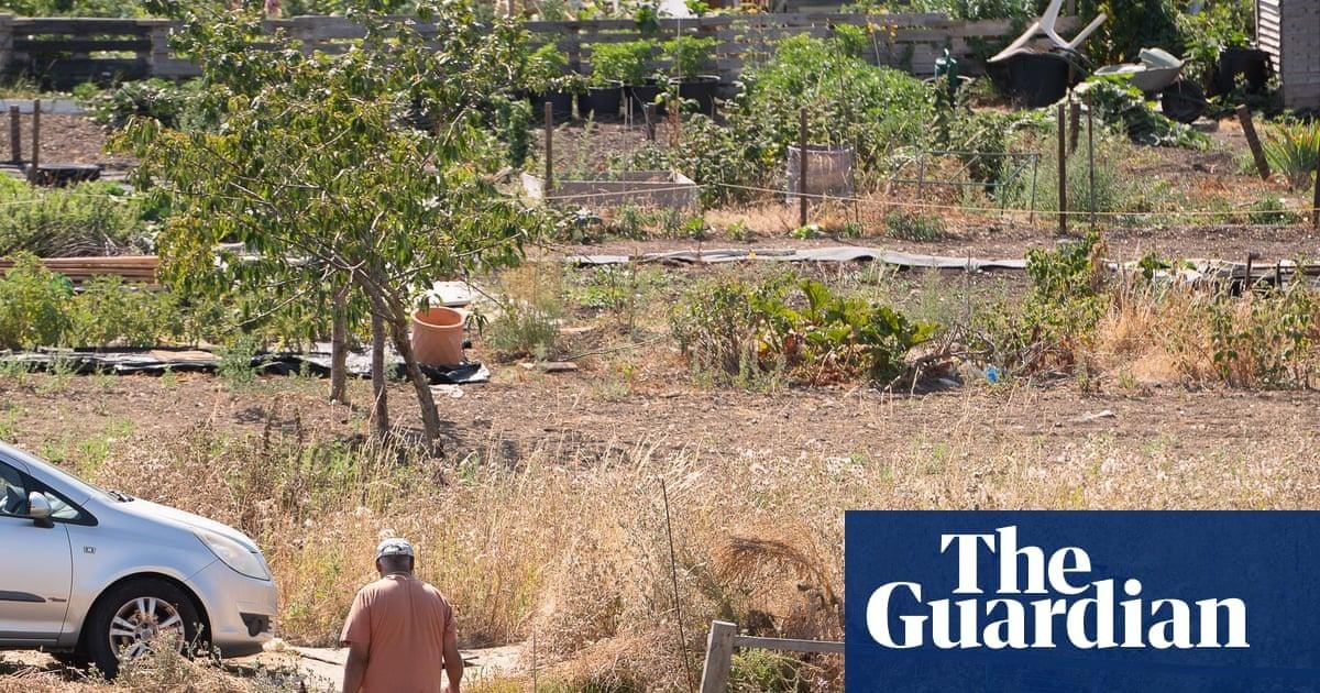 Watermelons in Bristol: how UK...