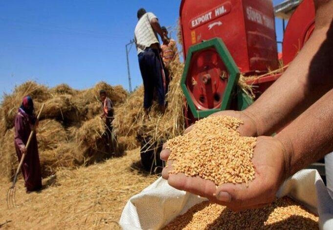 التموين: نستهدف زيادة سعة تخزين القمح إلى 6 ملايين طن بحلول 2030