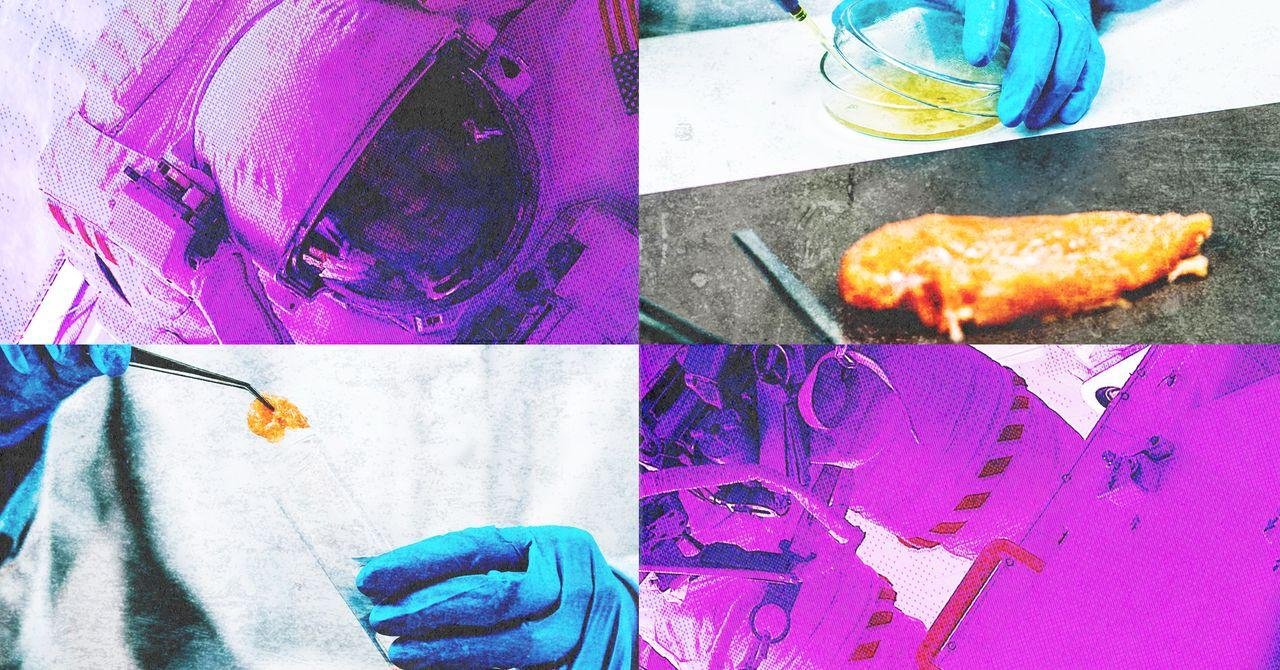 How NASA Testing Changed US Fo...