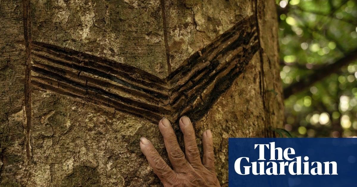 ‘Carbon fever’ threatens hard-...