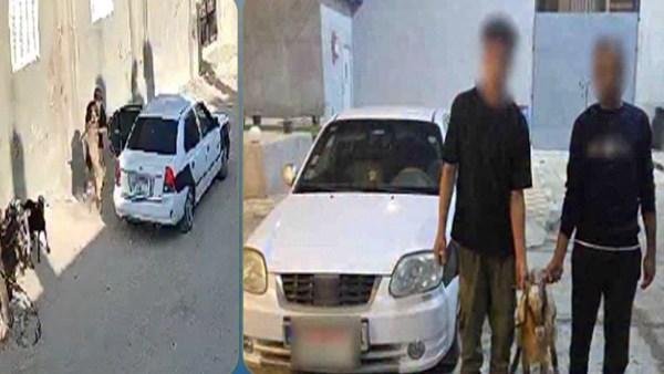 القبض على المتهمين بسرقة رأس غنم في شمال سيناء
