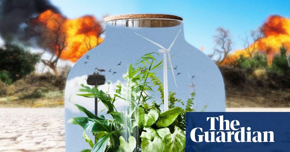We asked our climate reporters...
