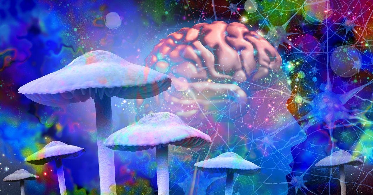 Psilocybin Might Make Your Bra...