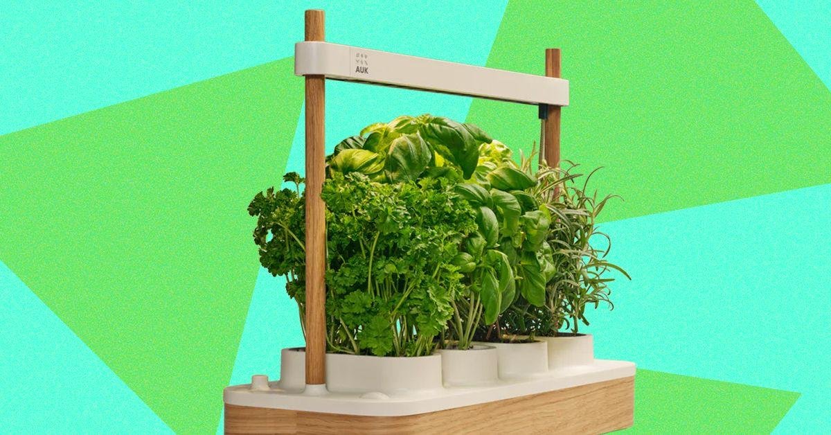Auk Mini 2 Indoor Smart Garden...