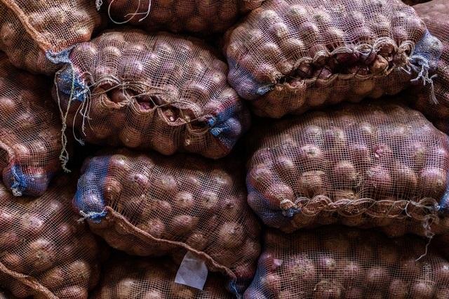 لماذا تستمر صادرات البصل رغم ارتفاع الأسعار المحلية؟.. مصدر يوضح الأسباب