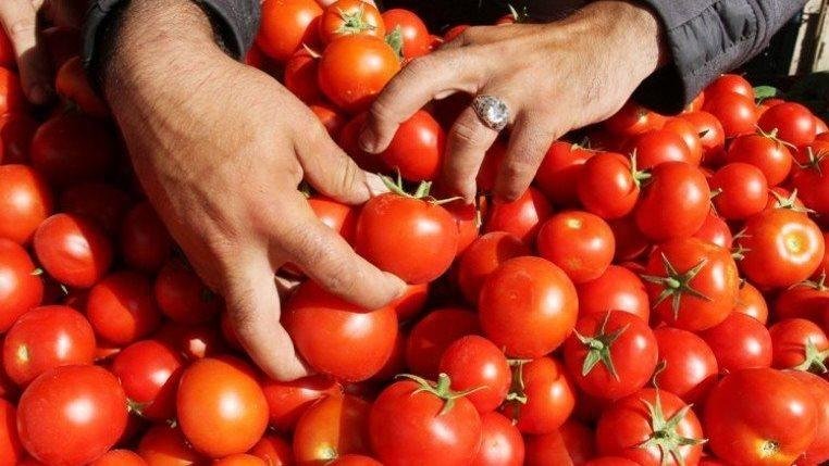 نقيب الفلاحين: المزارعون يواجه...
