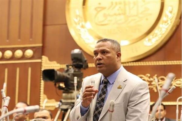 النائب محمد حمزة: أمن السعودية جزء لا يتجزأ من الأمن القومي المصري.. ومساس استقرارها خط أحمر
