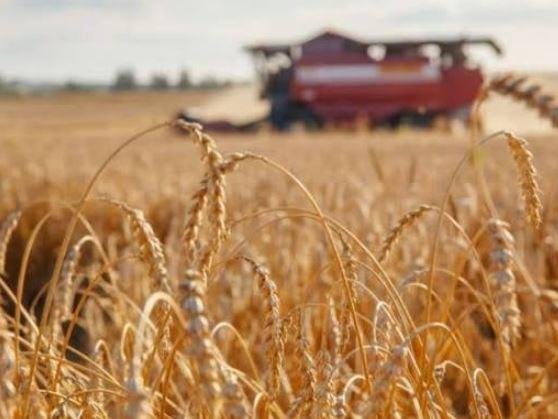 البنك المركزي: استقرار نمو الناتج المحلي خلال الربع الثالث وتسارع معدلات التضخم في سبتمبر