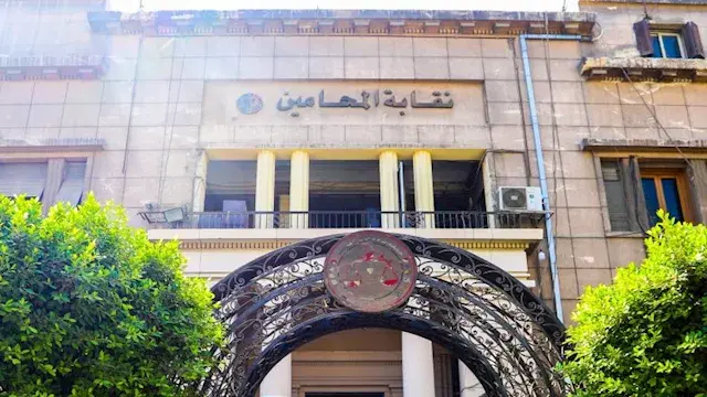 "المحامين" تحيل أحد أعضائها لل...