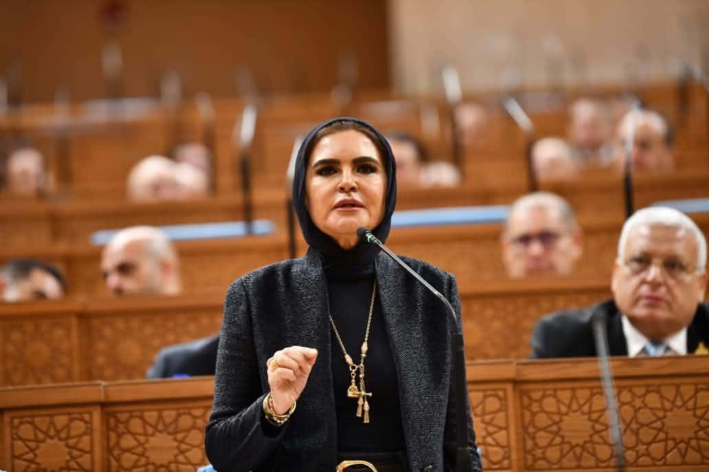 النائبة سحر نصر: معالجة التشابكات المالية لبنك الاستثمار القومي يجب أن تسبق تحميله بأعباء جديدة