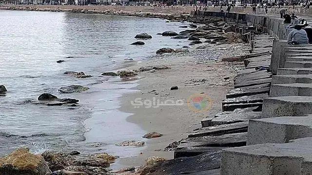 "علوم البحار": 3 عوامل وراء  انحسار مياه البحر في الإسكندرية - صور