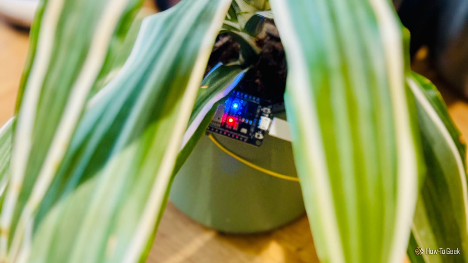 Forget Wi-Fi moisture sensors—...