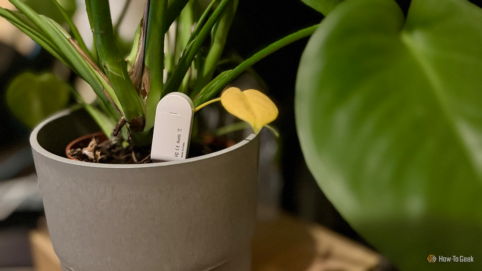 3 Home Assistant projects to p...