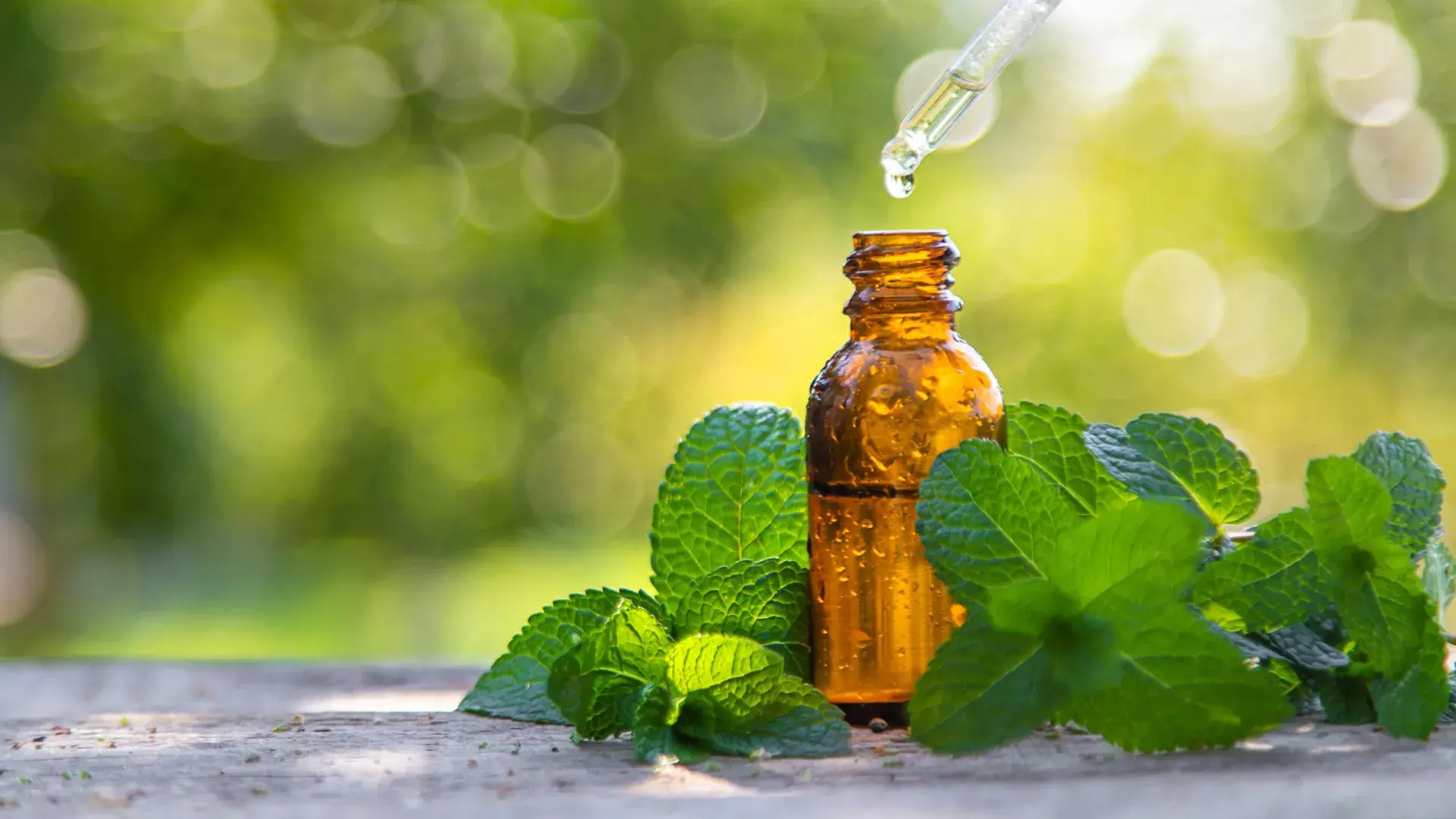 Peppermint oil lowers blood pr...