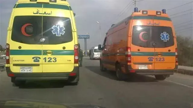 مصرع مسنة وإصابة شاب في حادث سير بالمنوفية