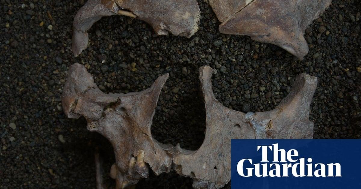 Indonesian foragers may have s...