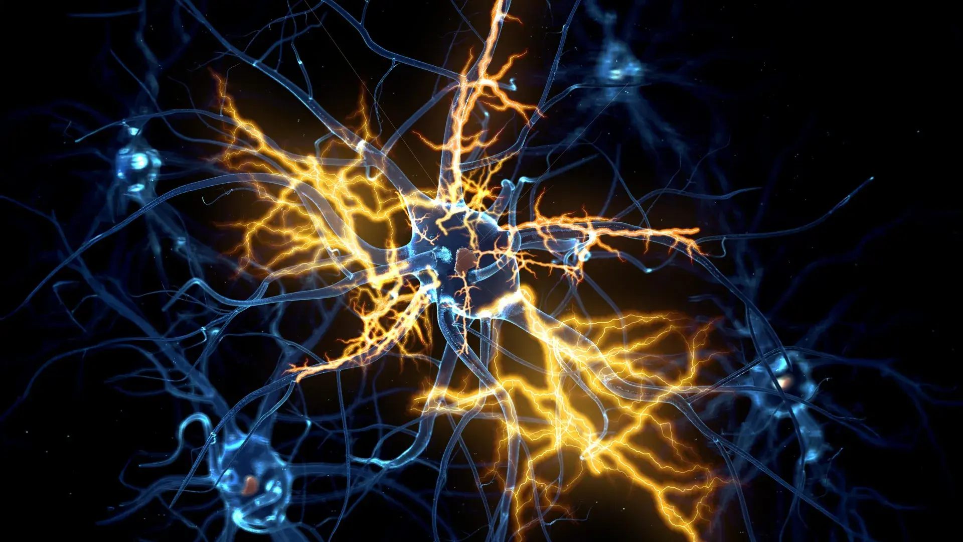 Scientists discover why damage...