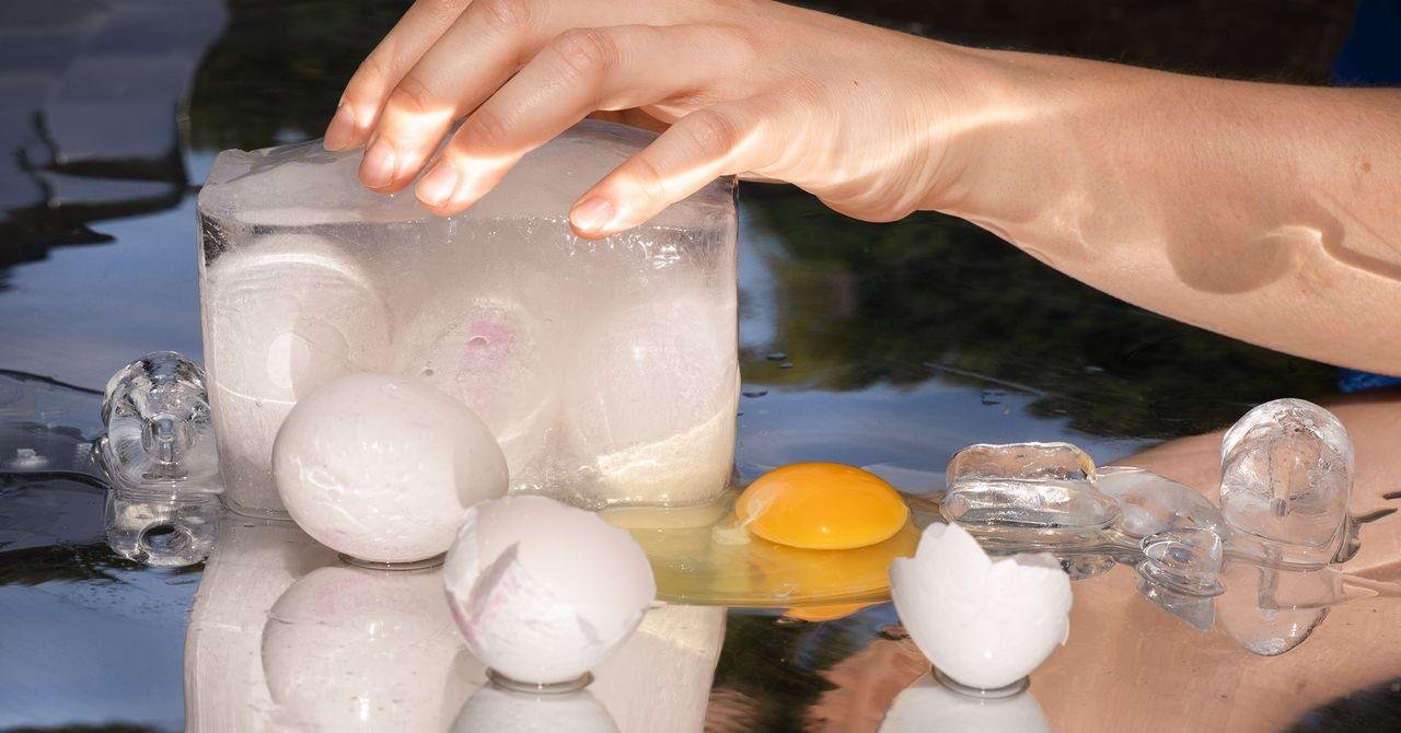 A New Startup Lets You Freeze...