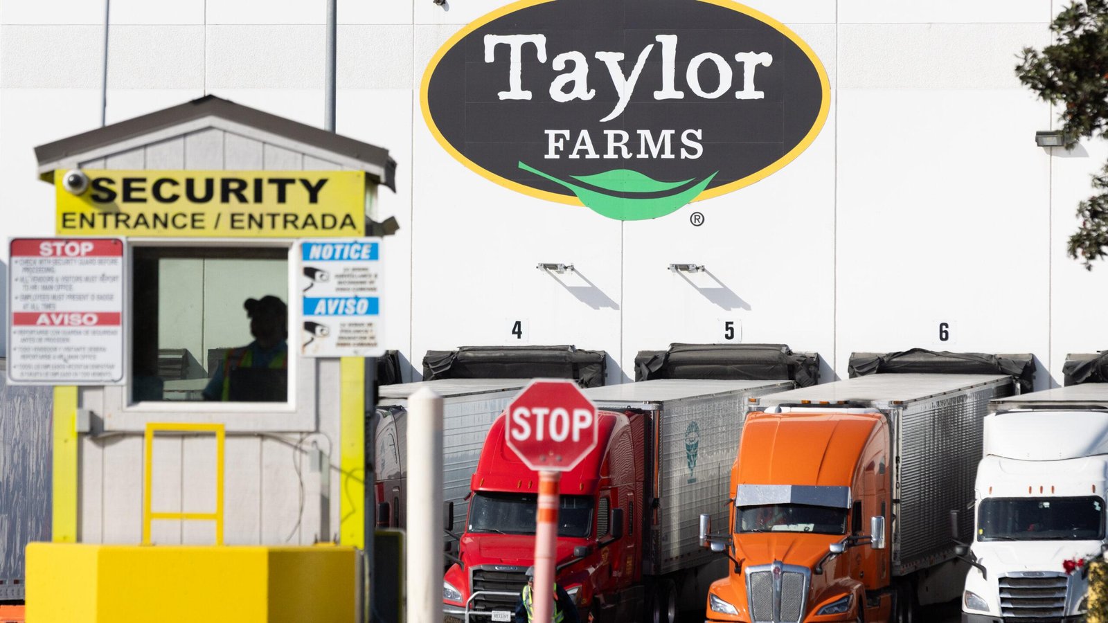 Taylor Farms' connections to T...