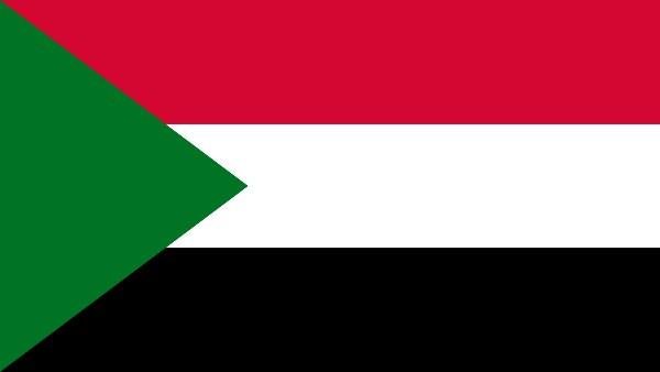 مـ.قتل طفل وإصابة 12 آخرين في استهداف مسيرة مركز "الميناء البري" السوداني