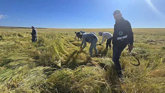 مصر تستعرض تجربتها في إنتاج ال...
