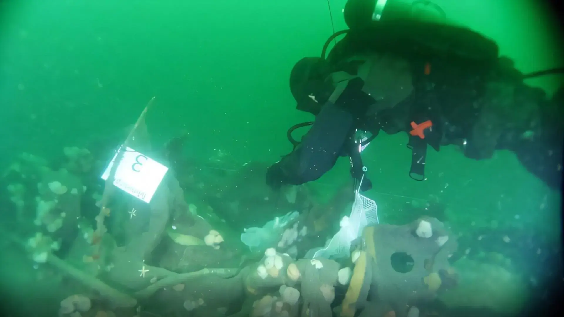 This German submarine sank in...