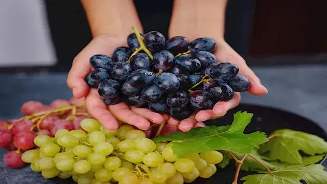 دراسة: مركب مستخلص من العنب قد...