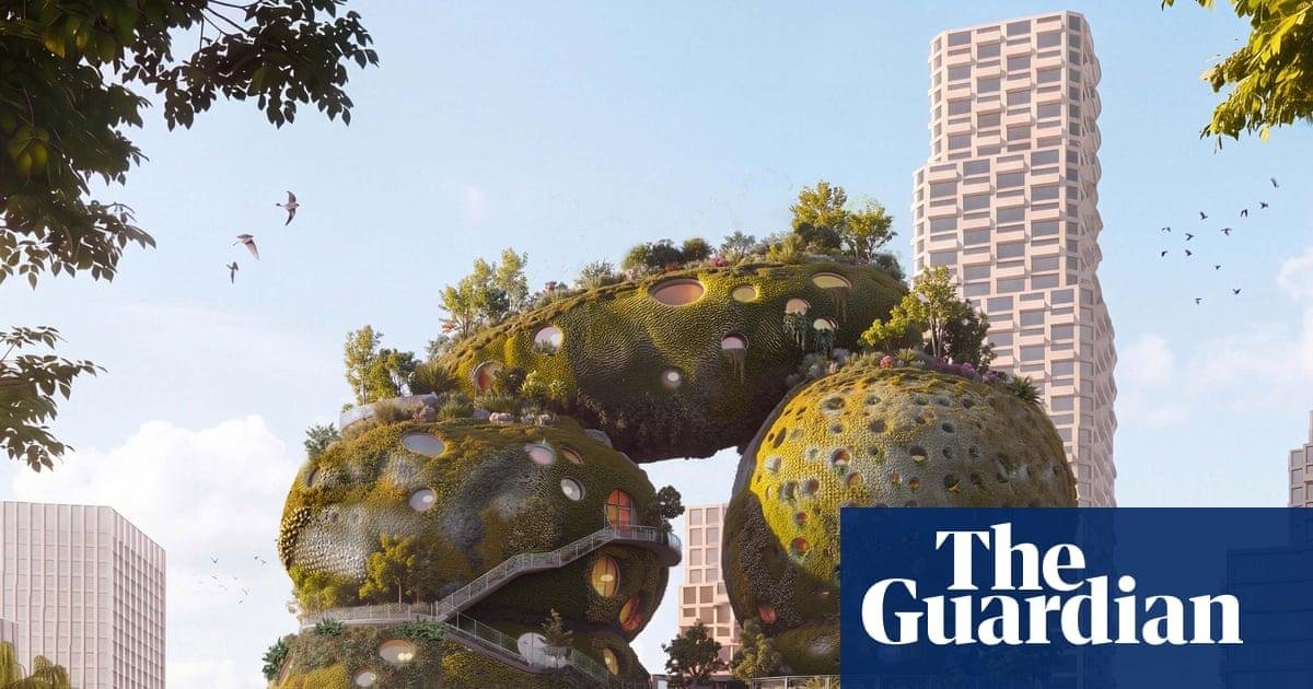 Climate-saving wonder – or €24...
