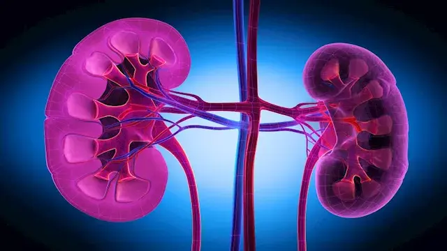 ماذا يحدث لقلبك عند الإصابة بم...