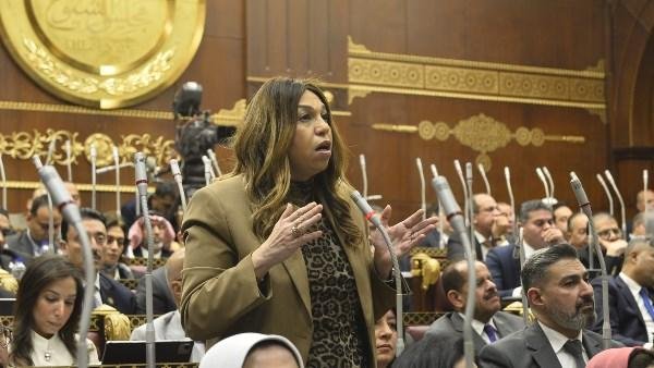 أماني فاخر وكيلا للجنة الشئون المالية والاقتصادية بمجلس الشيوخ