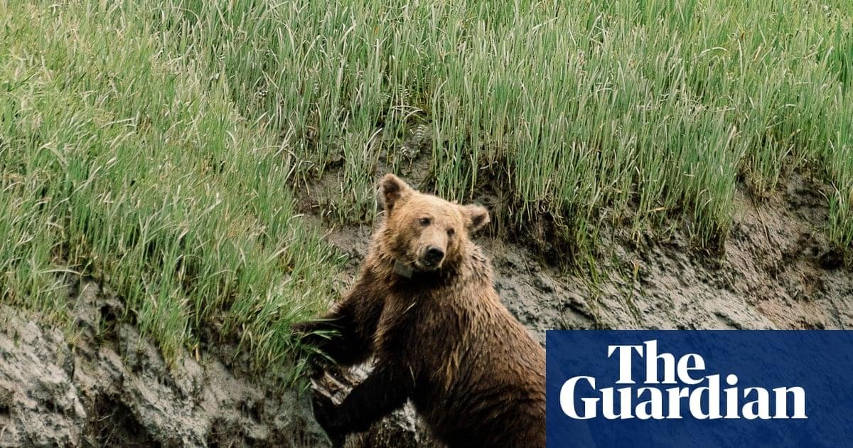 ‘We humans are inept at taking...